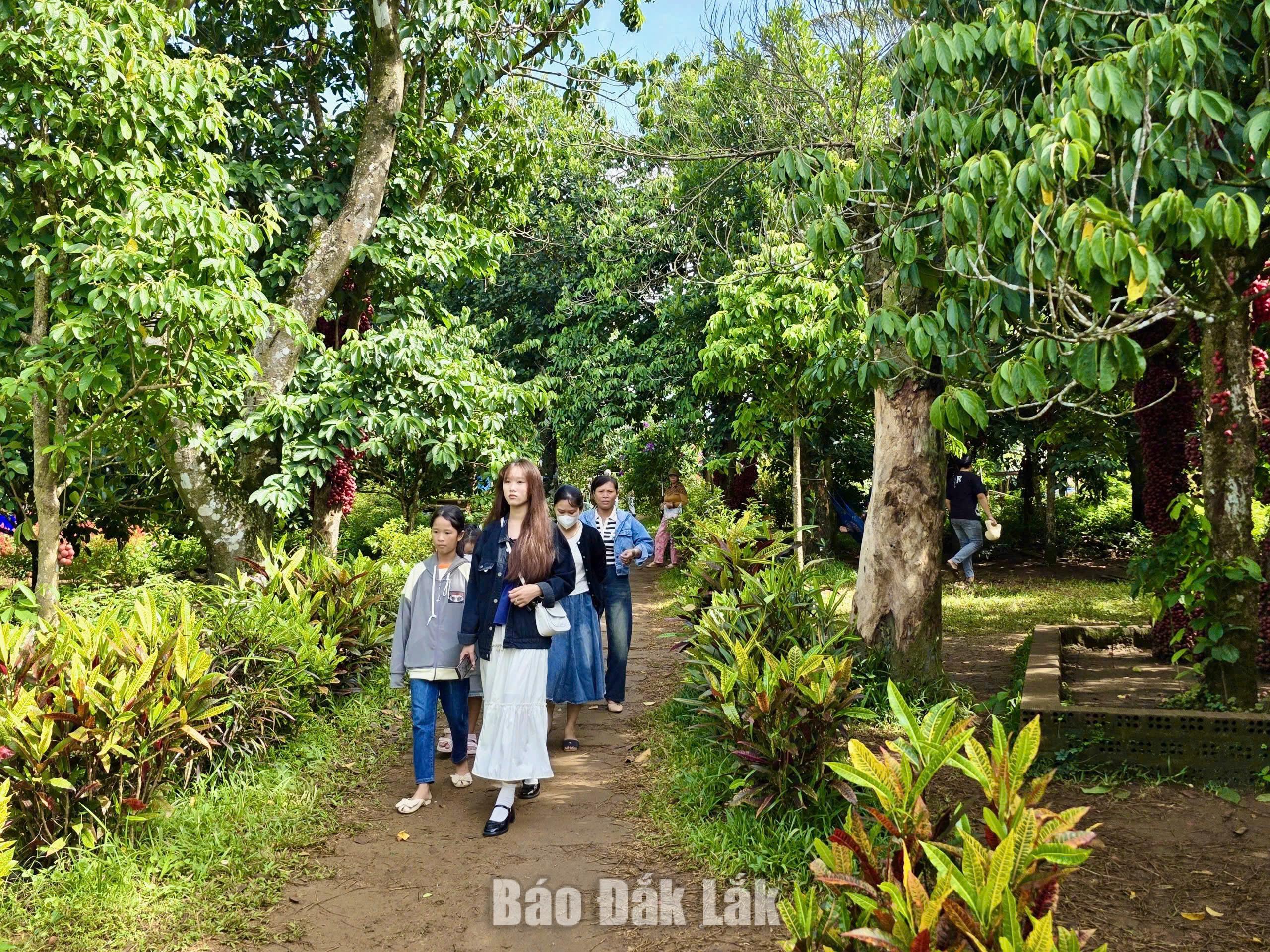 Vân Hòa: Tạo bứt phá từ kinh tế đa ngành