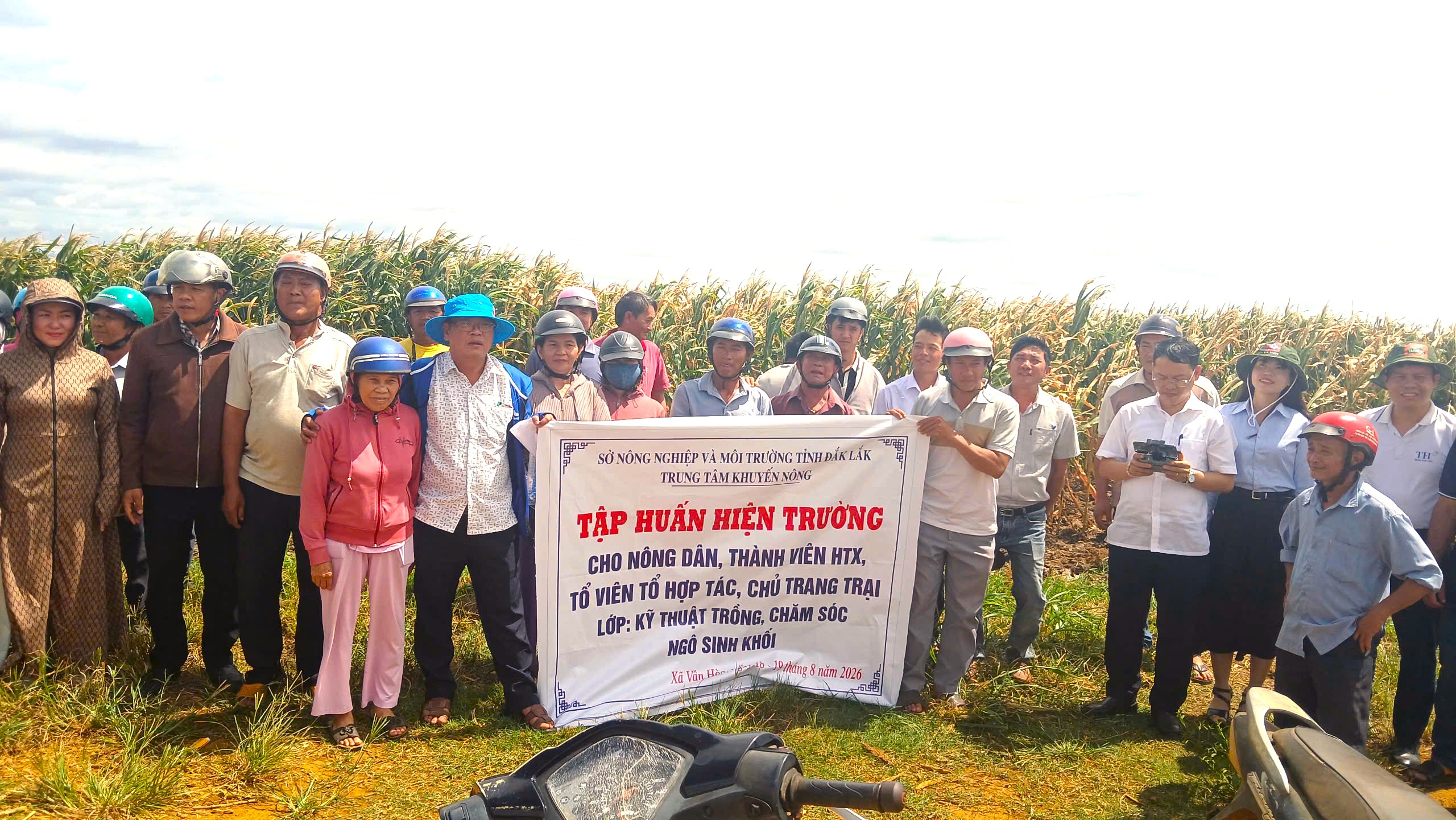Đòn bẩy thúc đẩy chuỗi liên kết sản xuất và tiêu thụ bền vững ngô sinh khối