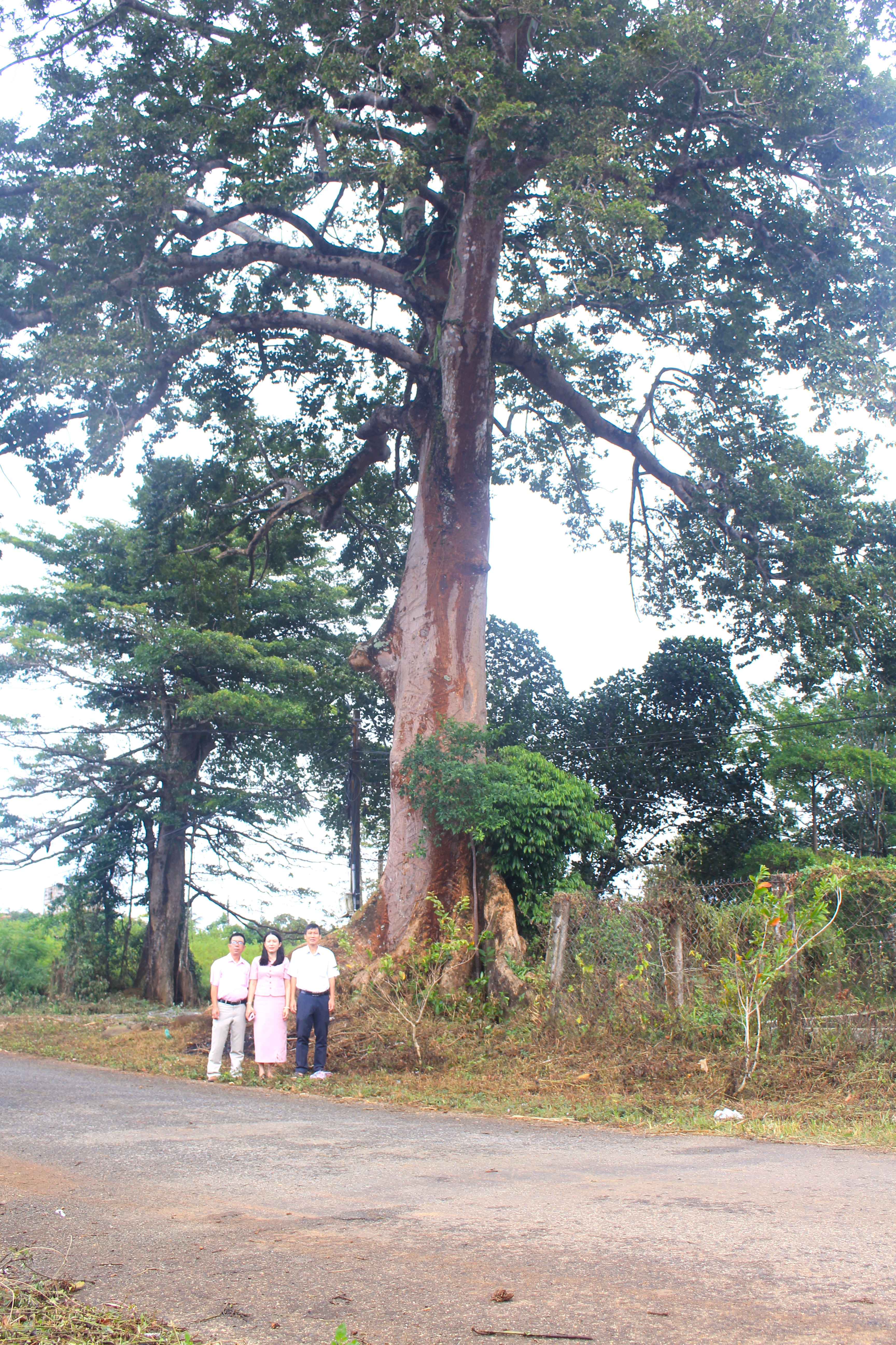 img-2744