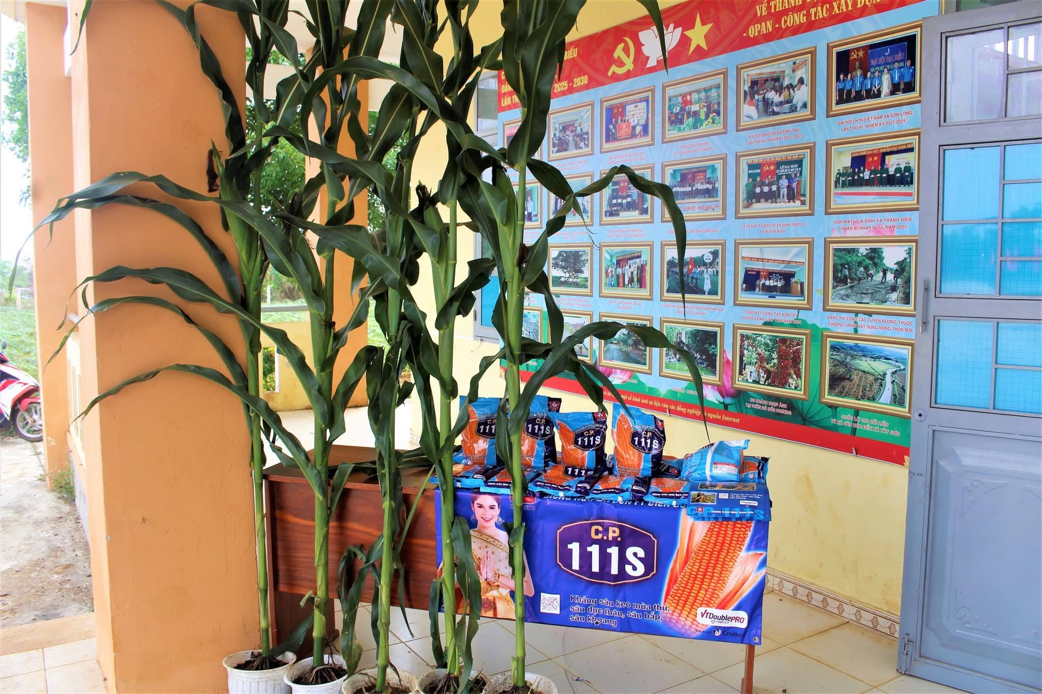 670867639-122185632116932175-8888583375336493490-n