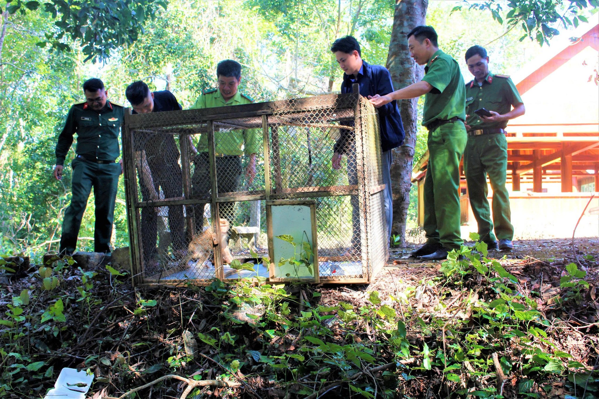 627537127-122171143646932175-4944561404759031618-n